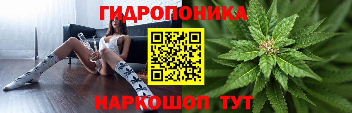 Бошки Шишки Bruce Banner  Вход с VPN  Партизанск  Марихуана THC 21% 